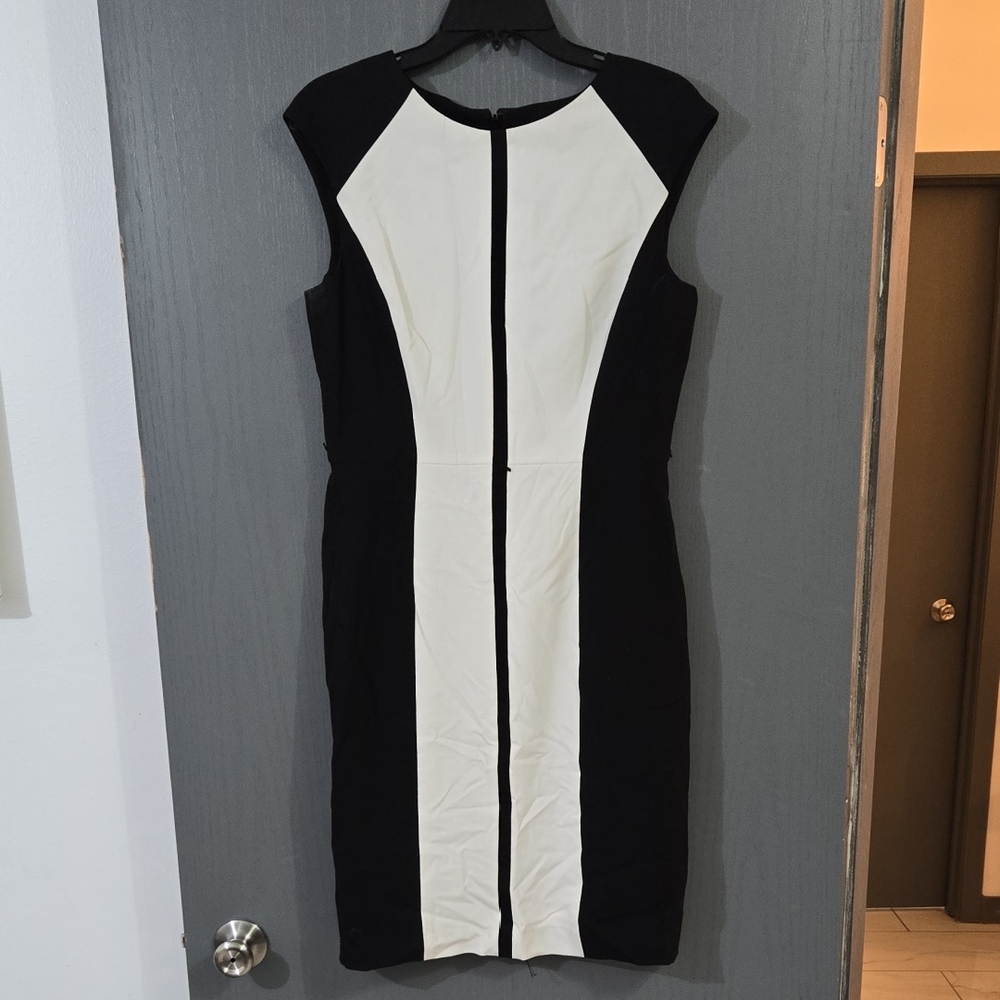Calvin Klein Dress, Size 8